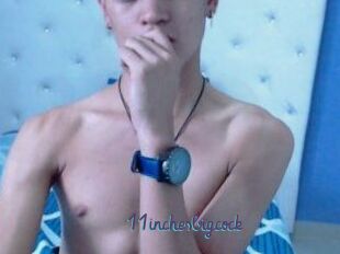 11inchesbigcock