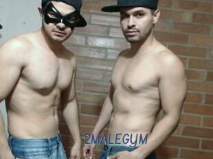 2MALEGYM