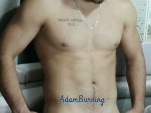 AdamBurning