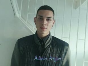 Adonis_Argus