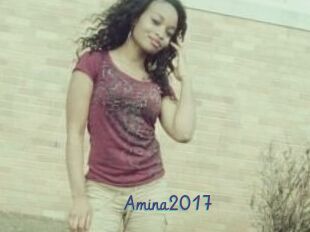Amina2017