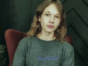 AmyNoiles