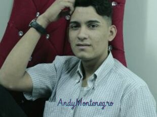 AndyMontenegro