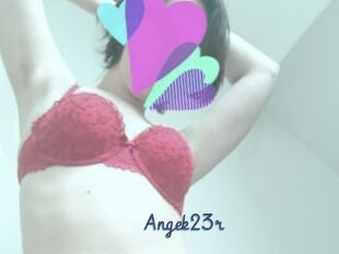 Angek23r