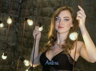 Antisa