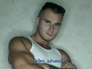 Antoni_adrenal1n