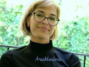 AriaMendosa