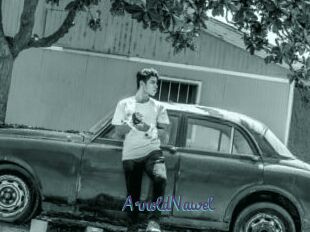 ArnoldNawel