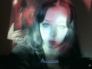 Accadavi