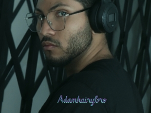 Adamhairybro