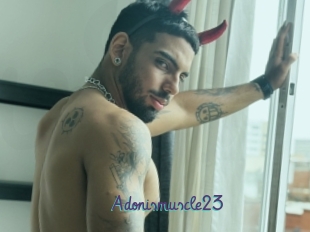 Adonismuscle23