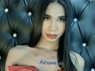 Adrianarae