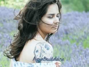 Aerinbaudelaire