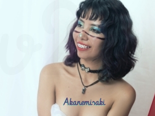 Akanemisaki