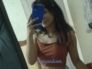 Amyandcam