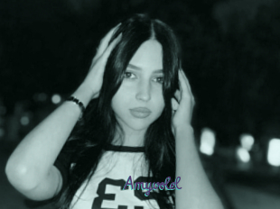 Amyvolel