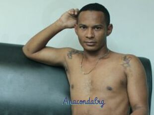 Anacondabig