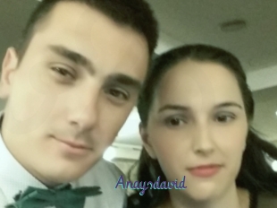 Anaysdavid