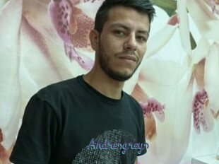 Andresgreys