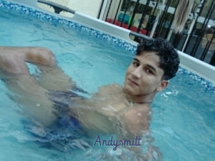 Andysmitt