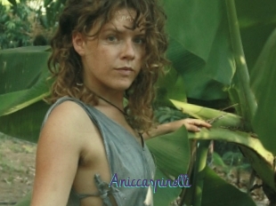 Aniccaspinelli