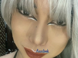 Anntook