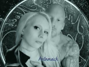 Antnmeich