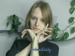 Antoniabiddy