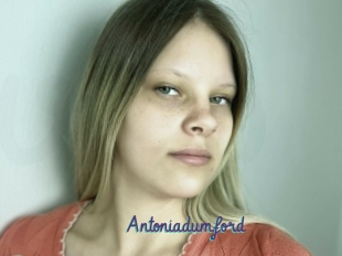 Antoniadumford