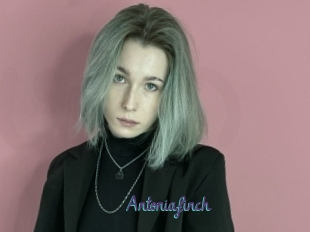 Antoniafinch
