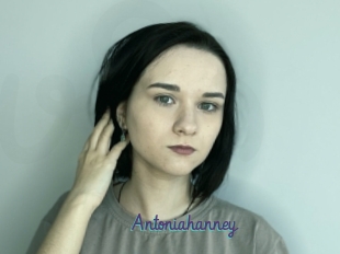 Antoniahanney