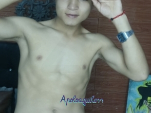 Apoloaquiless