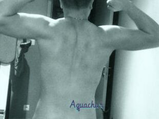 Aquachar