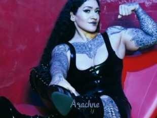 Arachne