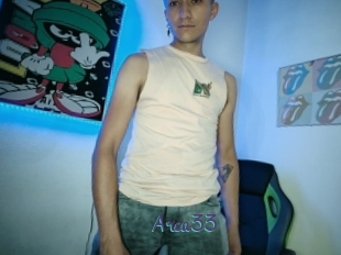 Arca33