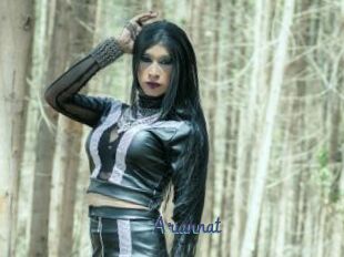 Ariannat