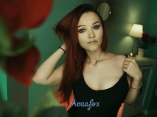Avaafox