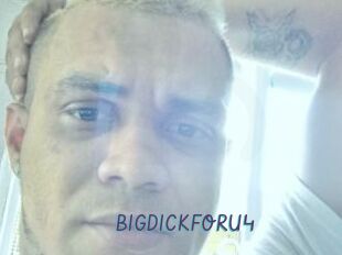BIGDICKFORU4