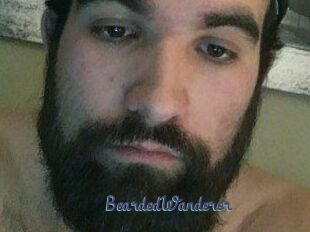 BeardedWanderer