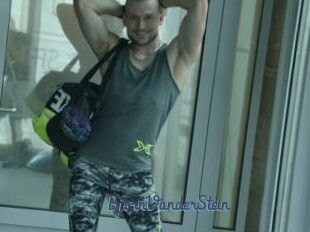 BjornVanderStein