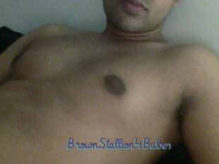 BrownStallion4Babes