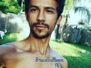 Bruce_Sullivan
