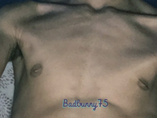 Badbunny75