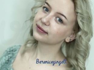 Berenicegingell