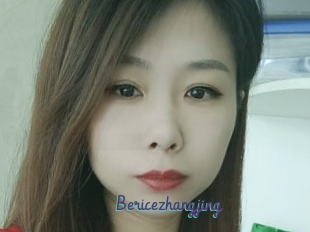 Bericezhangjing