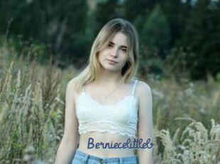 Berniecelittleb