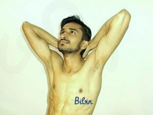 Bibin