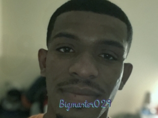 Bigmaster029