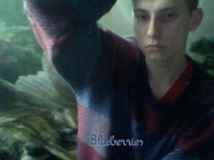 Blueberries