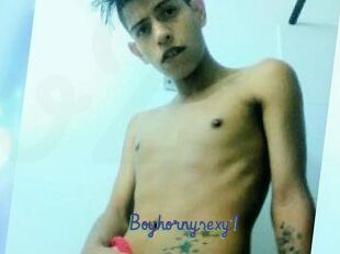 Boyhornysexy1